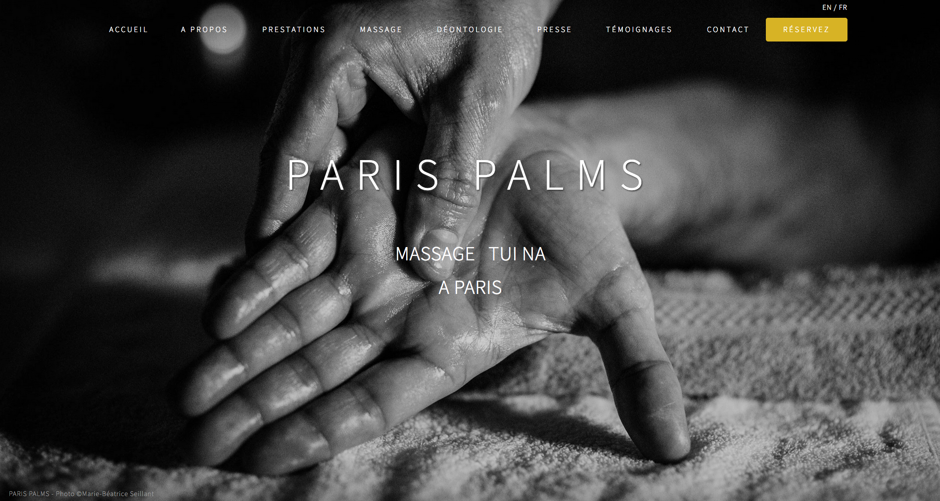 paris palms akro web agence web bayonne